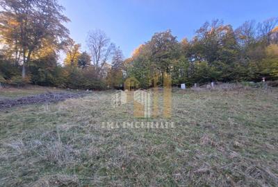 Teren de vanzare 2900 mp Brasov/Strada Ciresului - 24