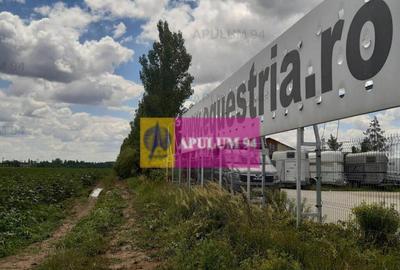 Teren de 715 mp, în Snagov - 35