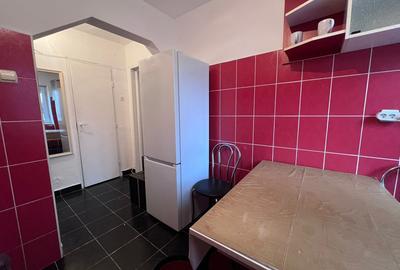 Apartament cu 2 camere semidecomandat în Gojdu - 7
