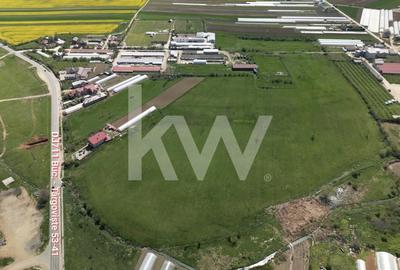 Teren agricol intravilan de 95000 mp, în Băleni-Români - 3