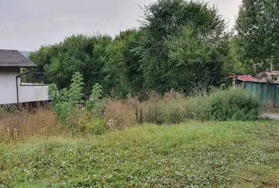 Teren de 50100 mp, în Tudor - 2