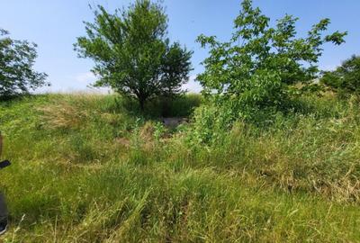 Teren de 1800 mp, în Gușterița - 2