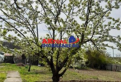 Vanzare Casa cu Teren 1200mp in Com.Mihai Bravu-Giurgiu - 7