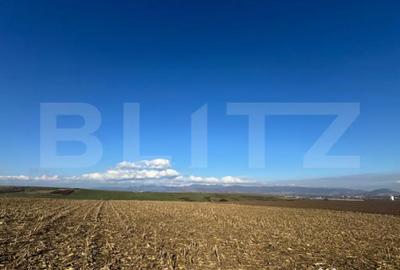 Teren de 5700 mp, în Criș - 3