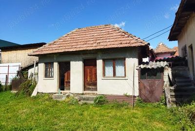 Casă cu 3 camere în Furnicoși - 1