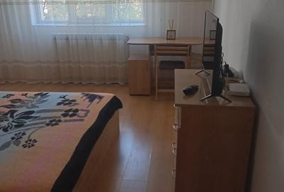 Apartament cu 2 camere decomandat, mobilat în Nicolina - 3