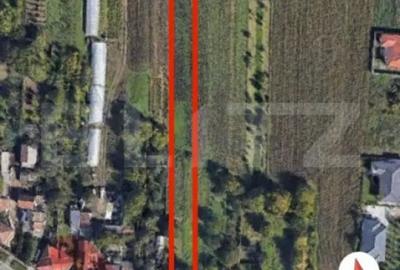 Casă cu 4 camere cu Teren 1500 Mp în Aurel Vlaicu - 1