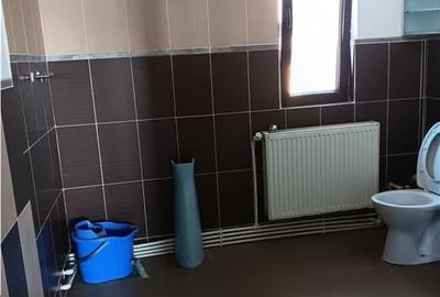 Casă individuală cu 8 camere cu Canalizare în Lunca Cetățuii - 15