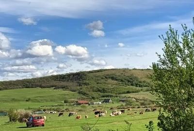 Vand teren intravilan 3000 mp in Sebes, jud Alba - 3