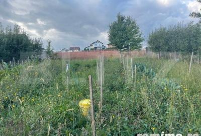 Casă cu 4 camere cu Teren 1000 Mp în Șcheia - 10