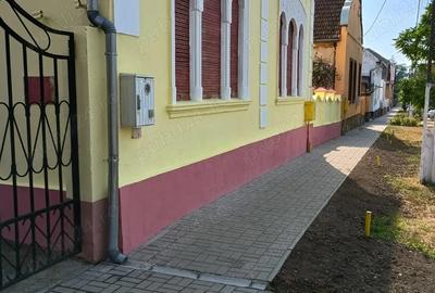 Casa stil baroc de vanzare , central pe strada principala (DN 6) ,o proprietate deosebita! - 1