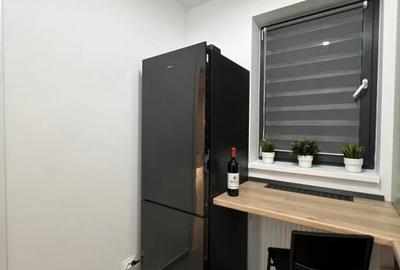 Garsonieră decomandată, mobilată în Theodor Pallady - 5