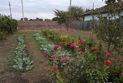 Casă cu 5 camere cu Teren 2800 Mp în Corabia - 3