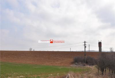 LOC DE CASA IN PETREU - 5