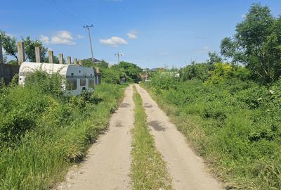 Teren de 300 mp, în Petrăchioaia - 8