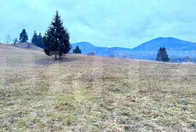 Teren de 2500 mp, în Colibița - 9