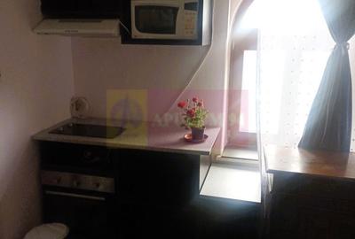 Garsonieră în Kiseleff - 2