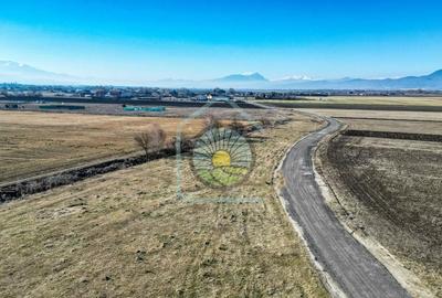 Teren Construcții intravilan de 17250 mp, în Stupini