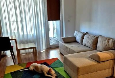 Apartament cu 2 camere semidecomandat, mobilat în Colentina - 2