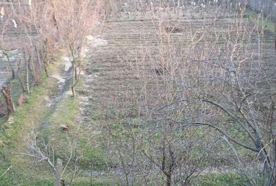 Teren de 752 mp, în Hinova - 2