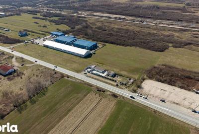 Teren de 7194 mp, în Carașova - 9