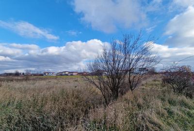 Cornetu, Str Aeroportului, teren 2470mp, deschidere 27ml, ut - 14