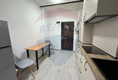 Apartament cu 1 camere decomandat, mobilat în Vatra Luminoasă - 11