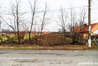 Teren de 2886 mp, în Coșteiu - 3