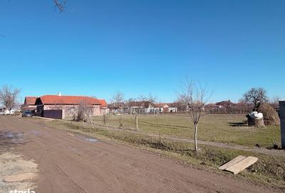 Spațiu comercial, în Șofronea - 5