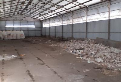 Hala industriala Frumusani - Buciumeni - 4