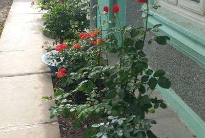 Casă individuală cu 4 camere cu Teren 1700 Mp în Cudalbi - 4