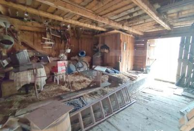 Casă cu 4 camere cu Teren 2500 Mp în Putna - 12