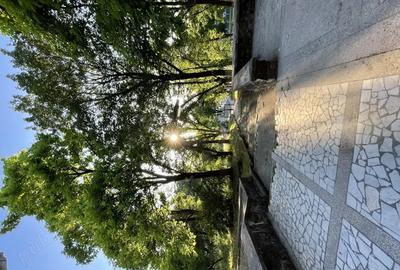 Imobil vanzare Hunedoara - 3