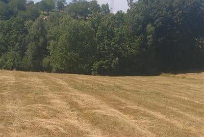 RECO, teren extravilan, Zona Sinteu, Bihor - 1