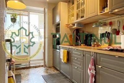 Apartament 2 camere decomandat cu balcon, renovat complet, Terezian - 6