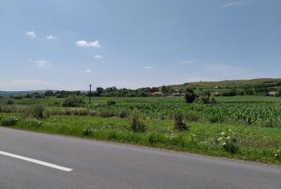 Teren Construcții intravilan de 6600 mp, în Mărășești - 5