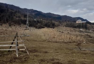 Spațiu comercial, în Cormaia - 5