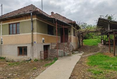 Casa cu anexe gospodaresti si teren aferent, 36 ari. - 6