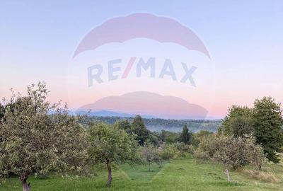 Teren in cea mai turistica localitate din Romania - Breb... - 3