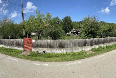 Casa la Ciovarnasani 3600mp - 10