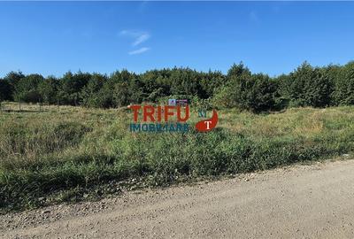 Teren de vânzare cu toate utilitățile pe malul viitorului Lac de - 2