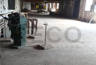 RECO Hale predestinate prelucrarea lemnului, loc. Auseu, sat - 8