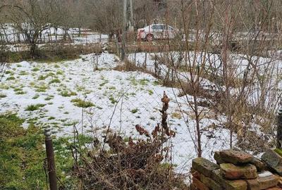 Casă cu Teren 507 Mp în Valea Bradului - 5