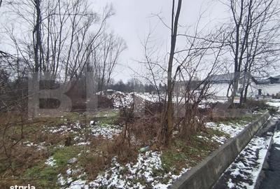 Spațiu comercial, în Priseaca - 5