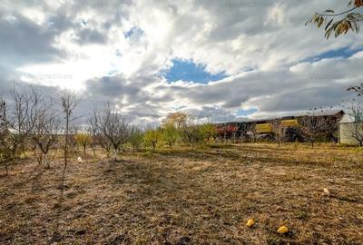 Vanzare ferma agricola Negru Voda - Constanta cu 240 hectare teren si utilaje - 8