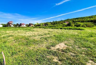 Teren intravilan Vranesti , Calinesti Arges - 1