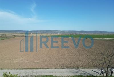 Teren de vanzare, Com. Nicolae Balcescu, Jud. Bacau - 2