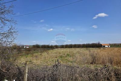 Teren de 7000 mp, în Girov - 4