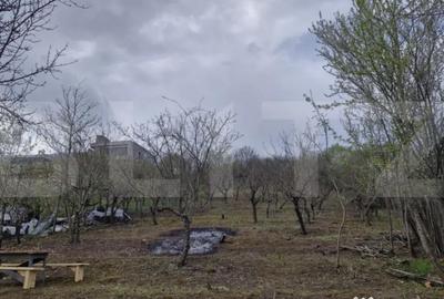 Teren de 2500 mp, în Viișoara - 5