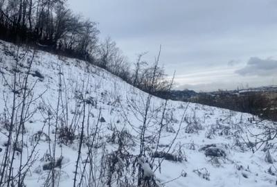 Teren intravilan 1000mp, constructii, pretabil duplex, Grigorescu - 2